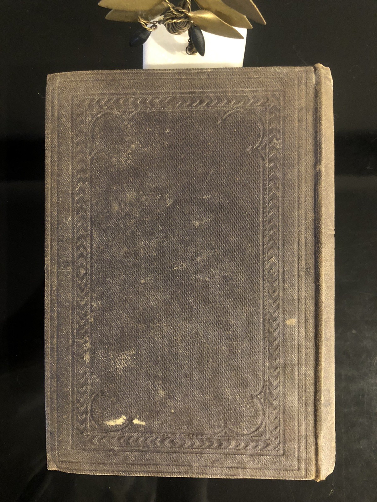 Homoeopathic Vade Mecum H Ruddock Gould&Son 8th Edition 1877 Medical&Surgery ExL