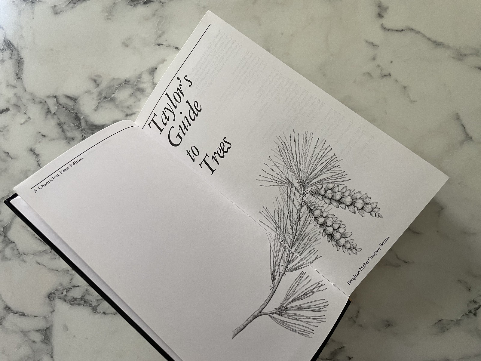 NEW Taylor’s Guide to Trees (Taylor’s Guides to Gardening) GARDEN DESIGN BOOK