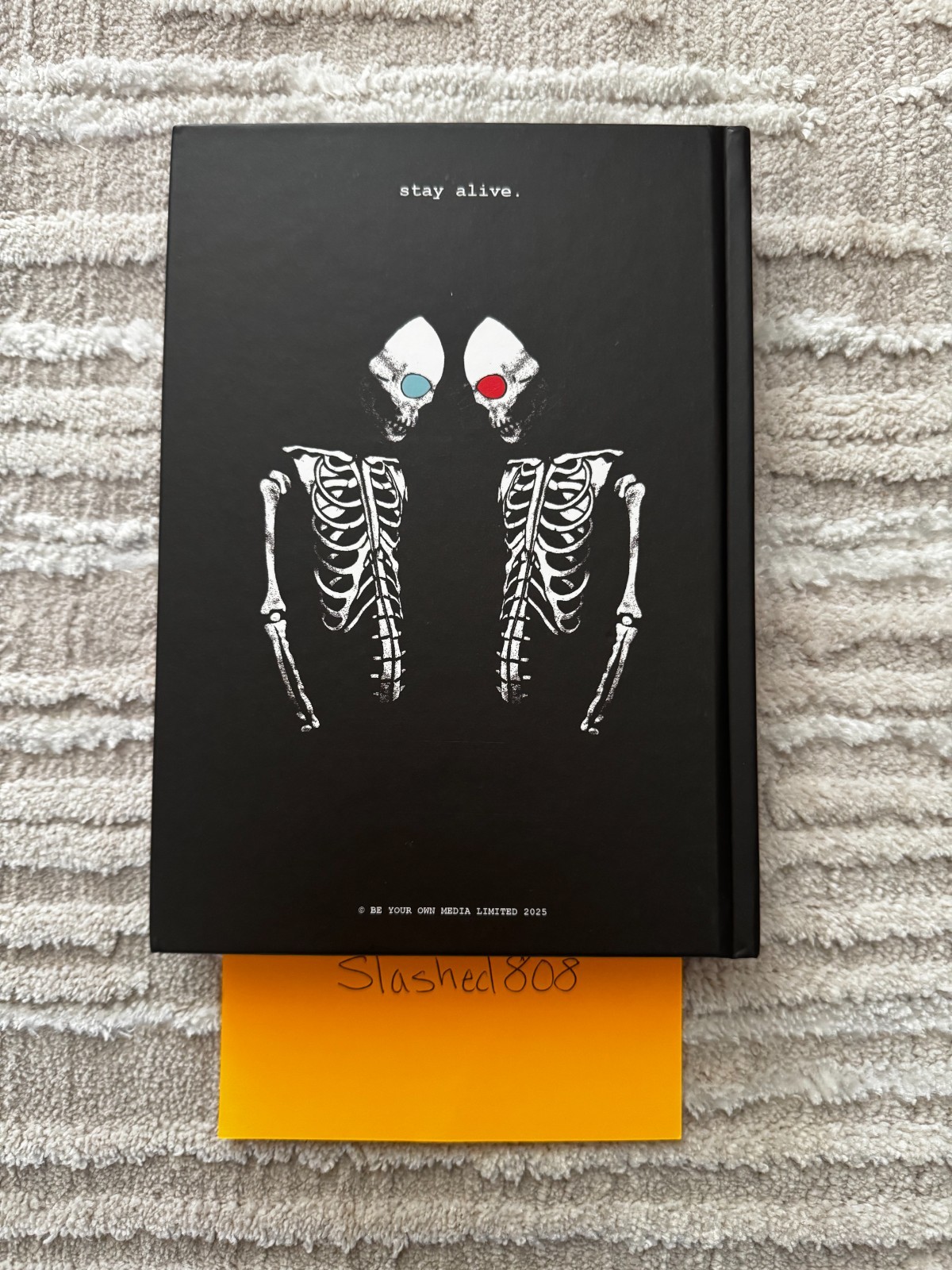 Twenty One Pilots – The Only Band In The World – Vessel Hardcover by Ryan Bird