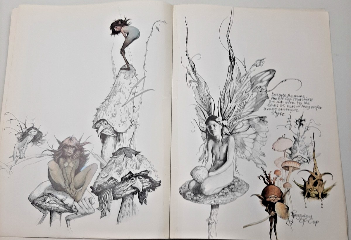 Vintage Faeries Book 1978 First Edition Printing Brian Froud Mythical Fairy Art