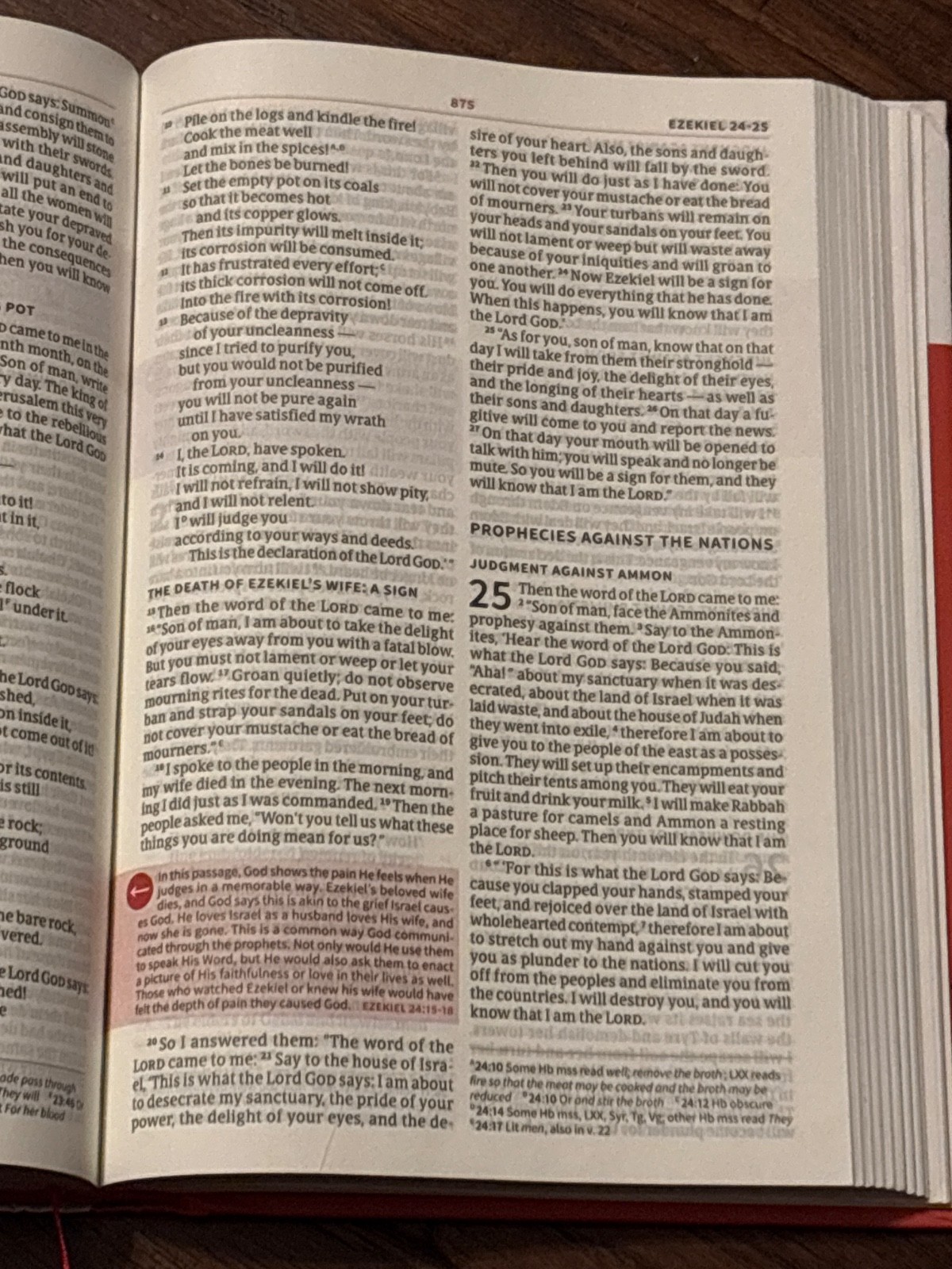 CSB Seven Arrows Bible, Hardcover : The How-To Study Bible for Students