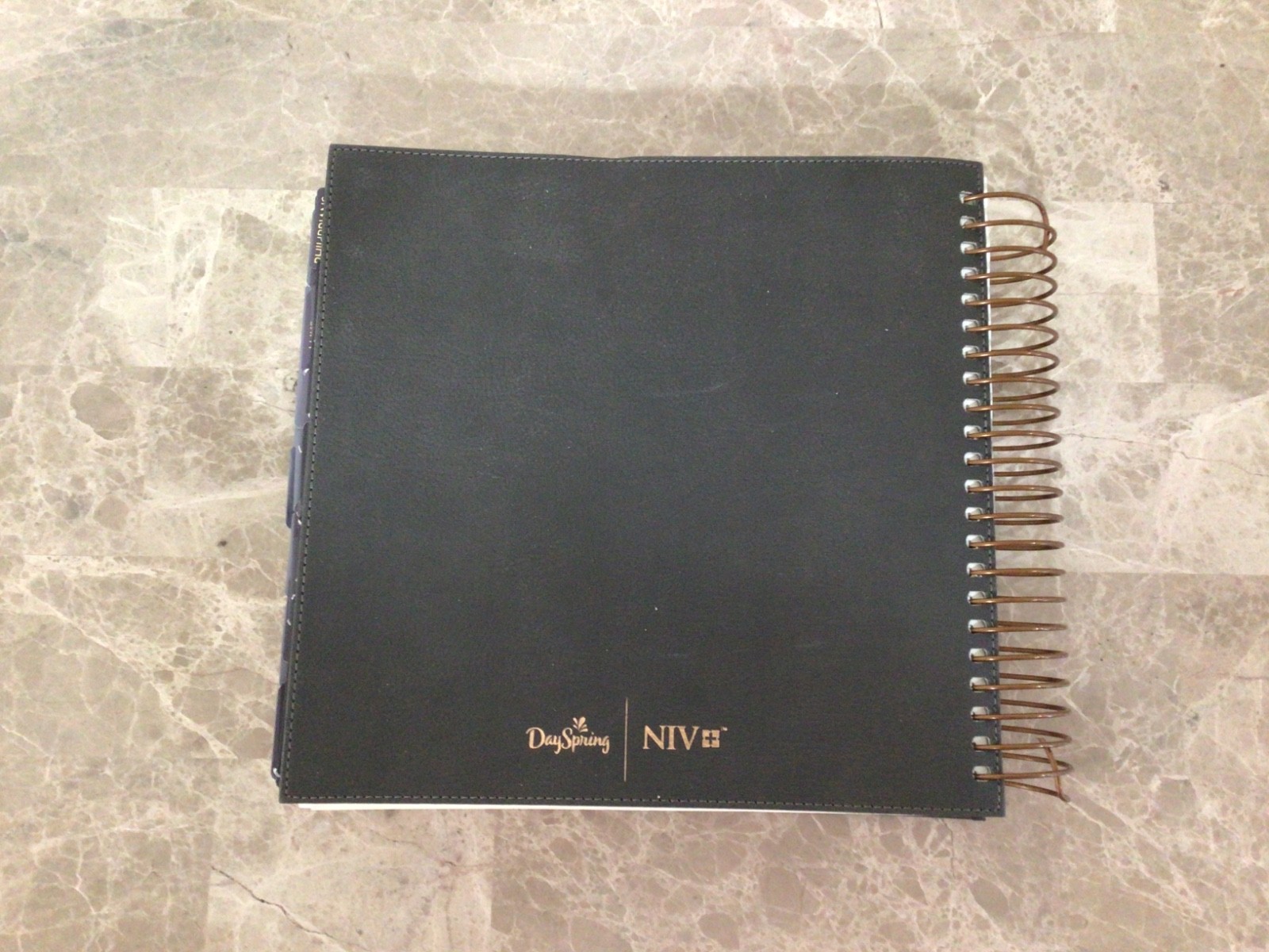 New International Version Illustrating Bible by DaySpring 2020 Leather Spiral