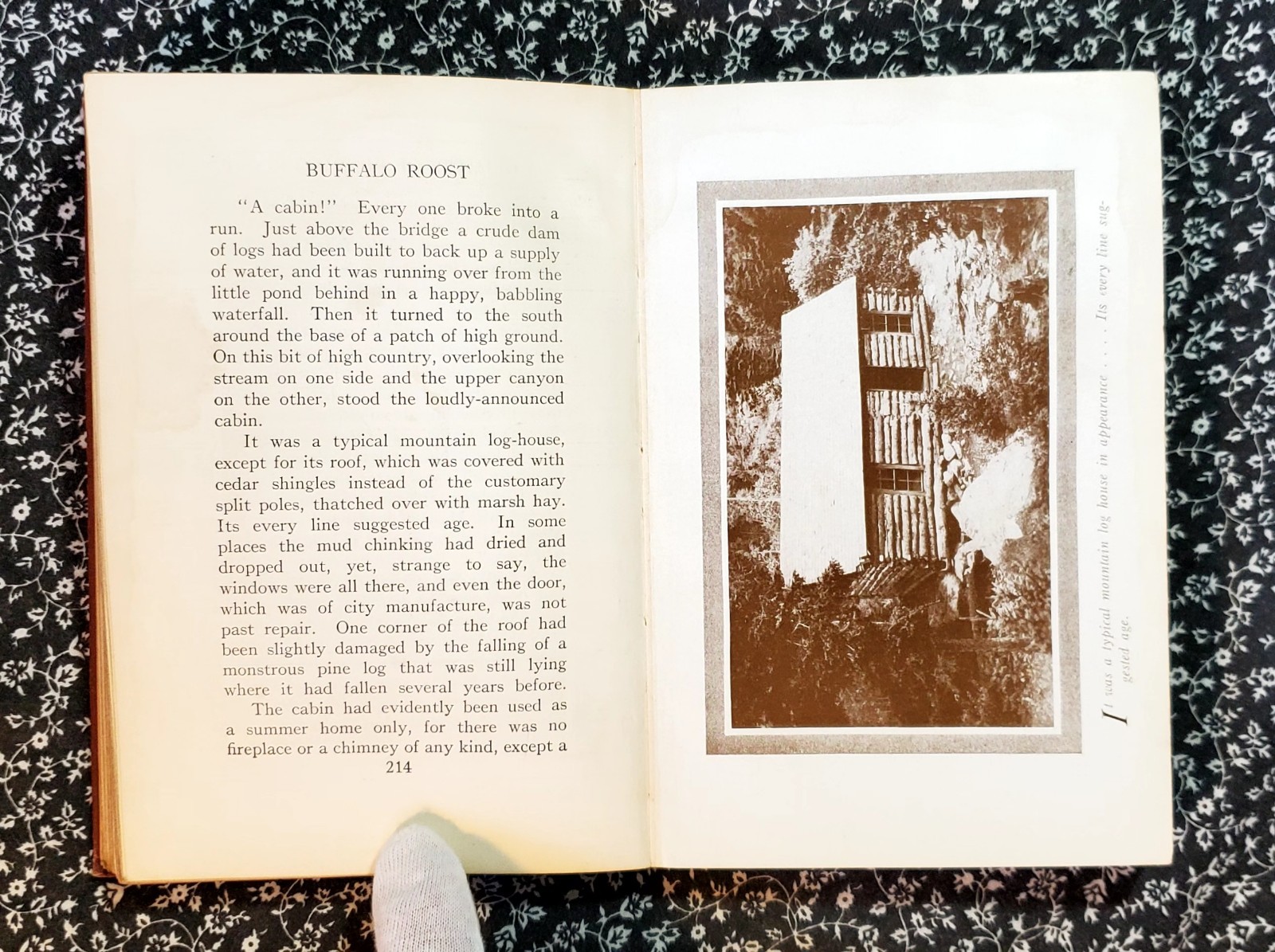 Buffalo Roost, F. H. Cheley, 1913, First Edition, Hardcover, Antique