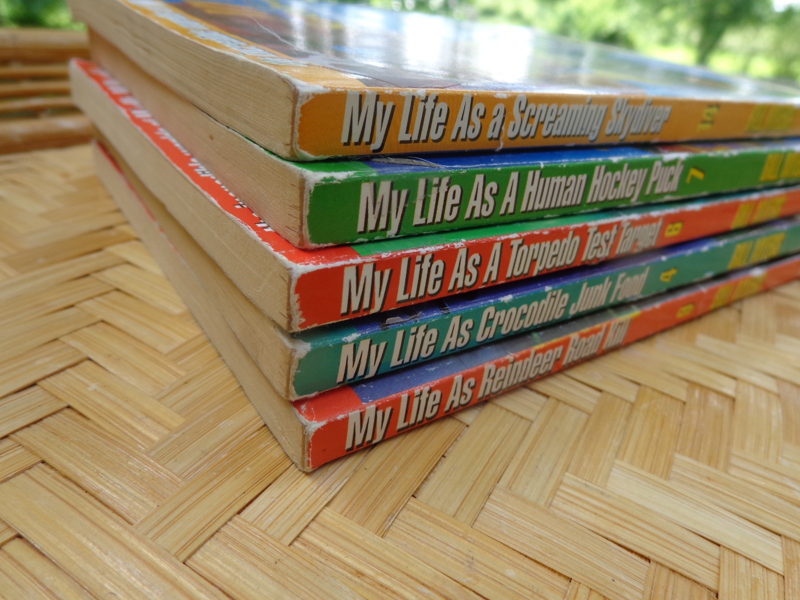 Wally McDoogle My Life As A BP Book Lot 5 by Bill Myers Skydiver Torpedo Hockey