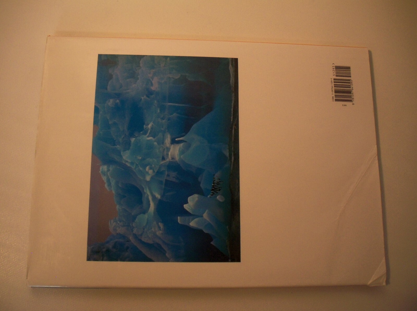 Penguins Hardback Book by Derek Hastings