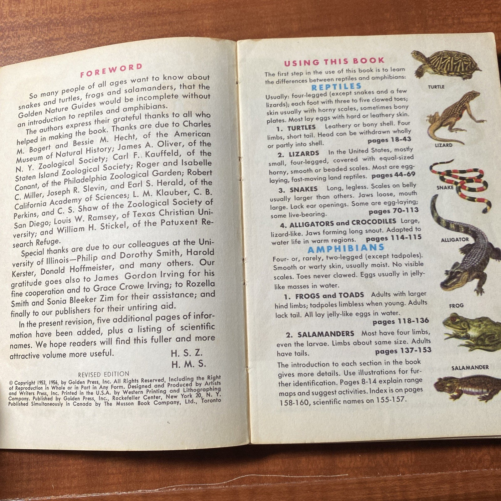 Lot Of 6 Vintage Golden Nature Guides-Small Booklets-Insets pest stars rock ETC