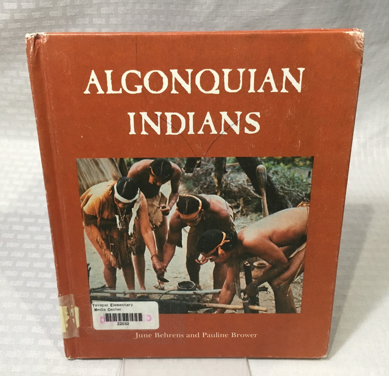 NATIVE AMERICAN BOOK LOT / 10 CHILDREN’S PICTURE BOOK / HC / MULTIPLE TITLES