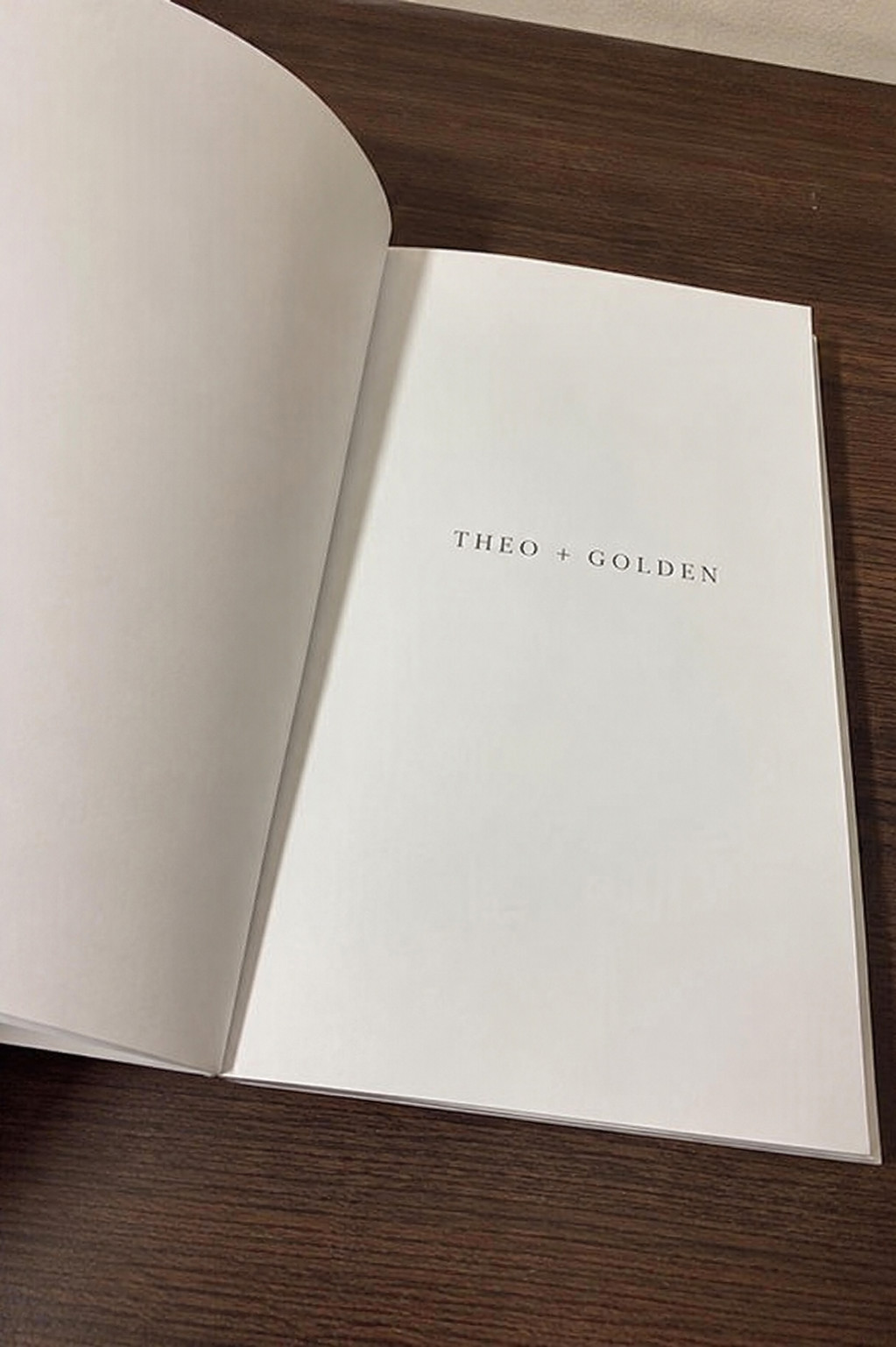 Theo of Golden Paperback by Allen Levi New book