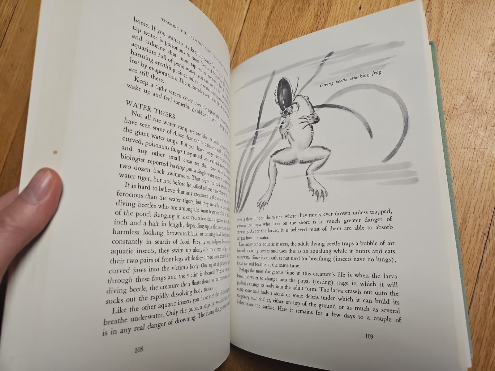 Tracking the Unearthly Creatures of Marsh and Pond – Howard G Smith