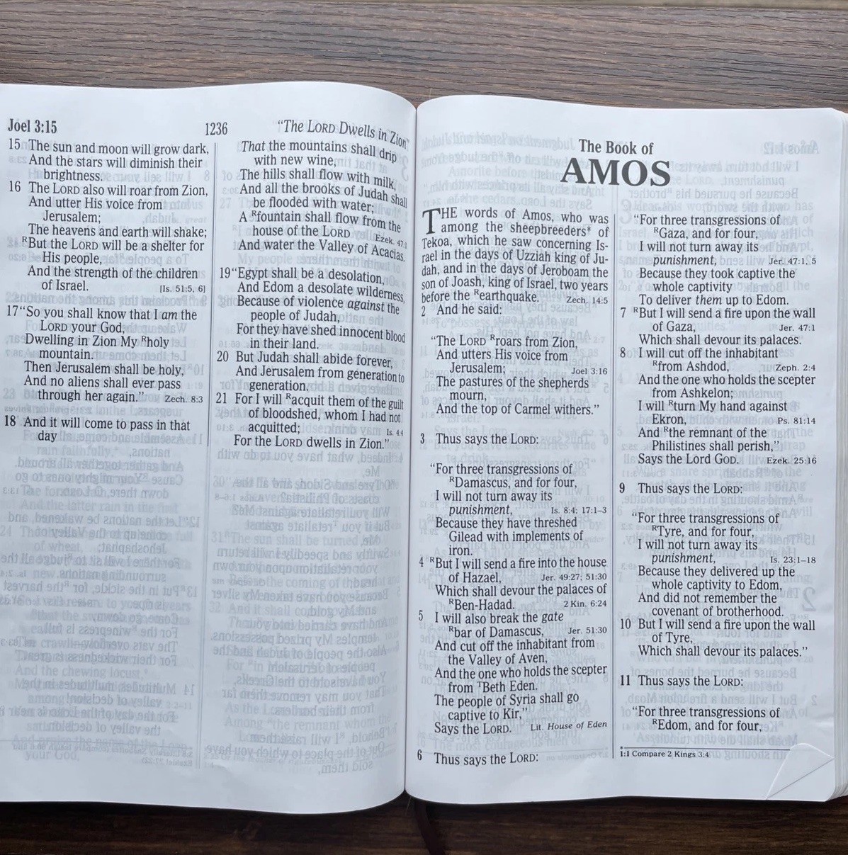 NKJV Holy Bible Super Giant Print Reference Edition Red Letter Leather Worn