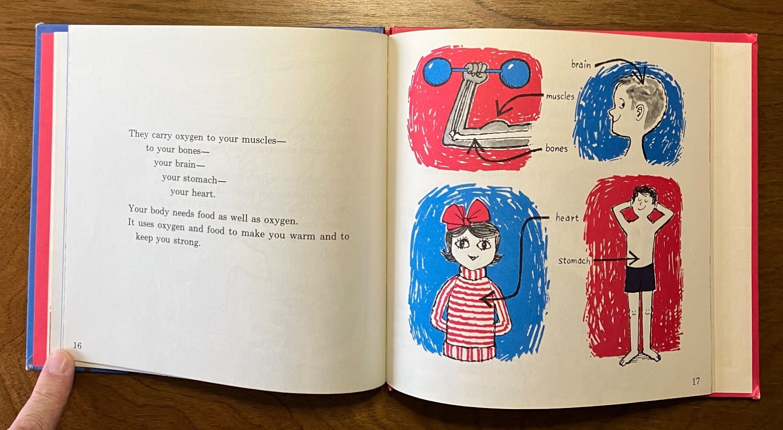 A DROP OF BLOOD By Paul Showers 1967 hardcover kid’s book