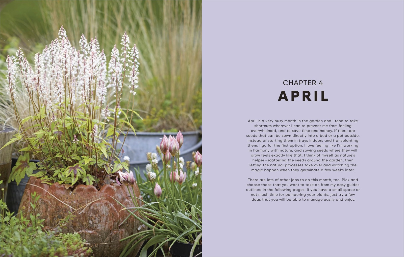 The Money-Saving Garden Year: A Month-by-month Guide to a Great Multicolor