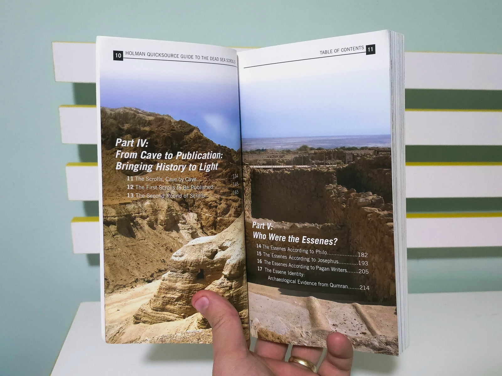 Guide to the Dead Sea Scrolls! Holman QuickSource 2010 Book by Craig A. Evans