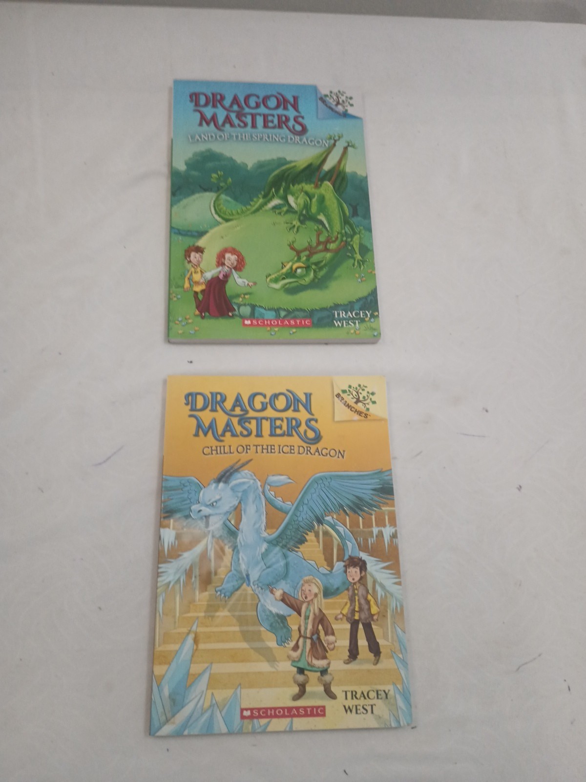 LOT 34 BRANCHES BOOKS: OWL DIARIES,DRAGON MASTERS, DIARY PUG,UNICORN DIARIES.