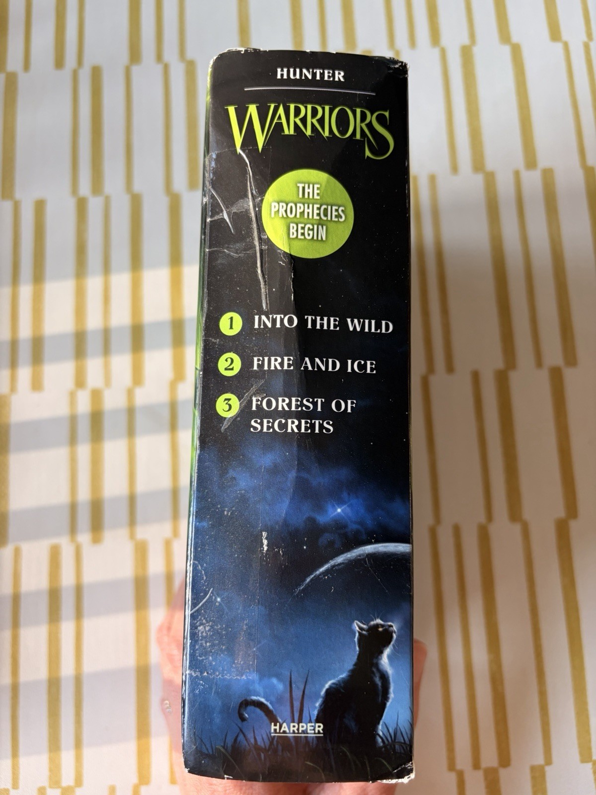 Erin Hunter Warriors: The Prophecies Begin Box Set Books 1-3 (English)