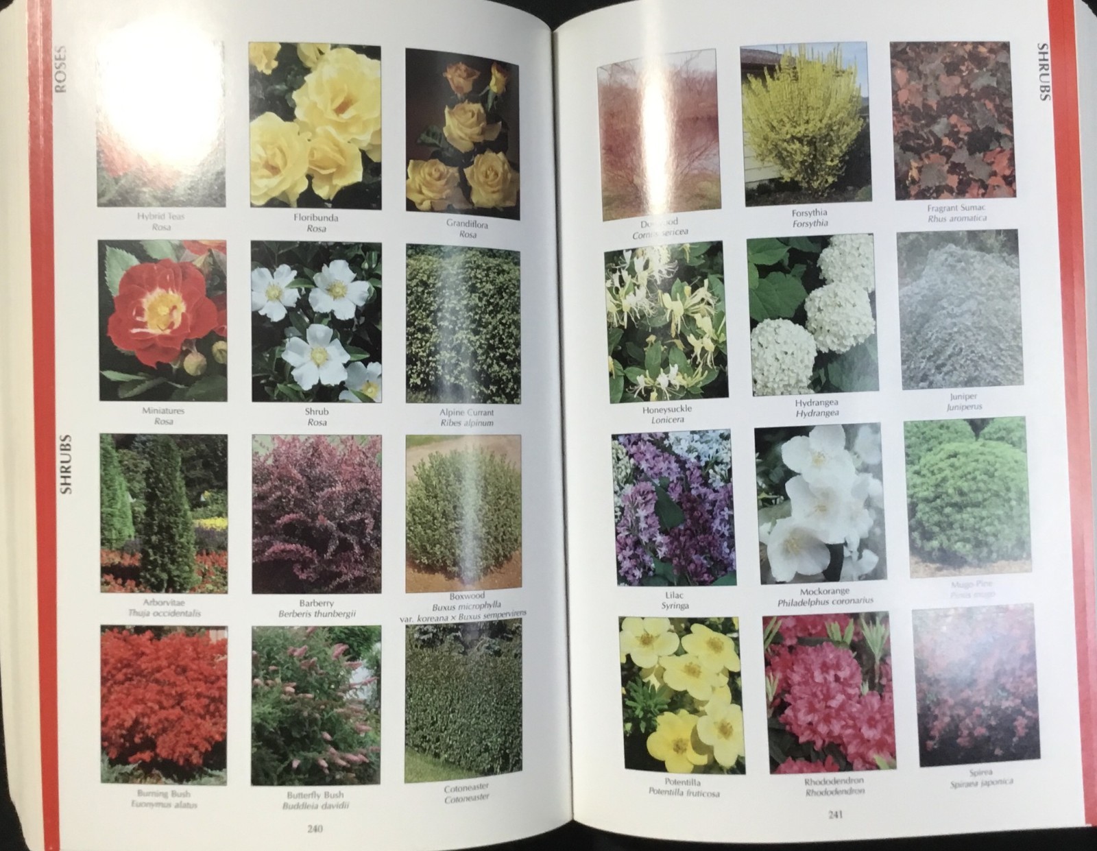 Book, MN Gardener’s Guide, Paperback, M. Myers, Cool Springs Press, 2001