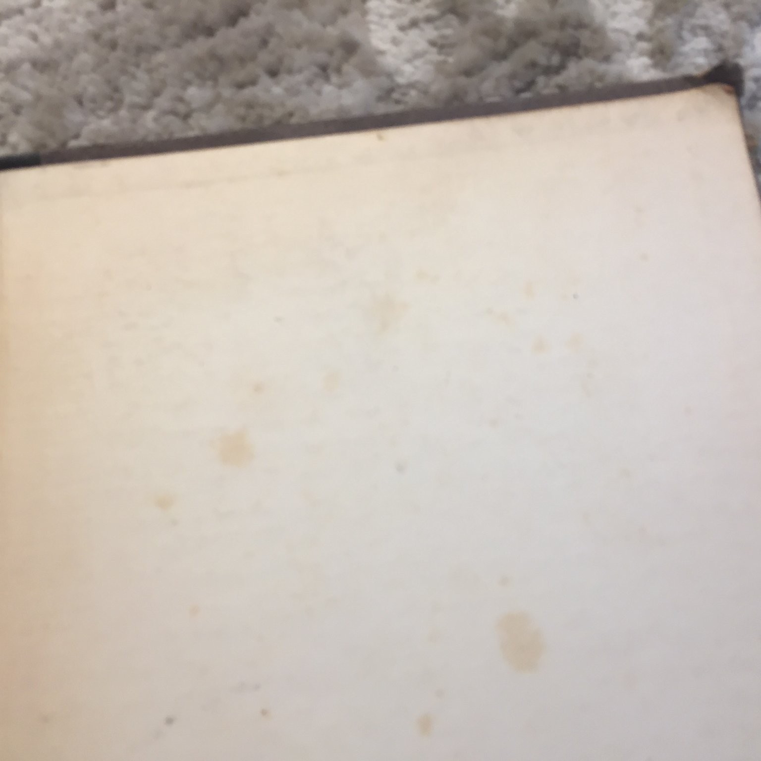 The Romany Stain Christopher Morley SIGNED 1927 Illustrated Travel Writing Book