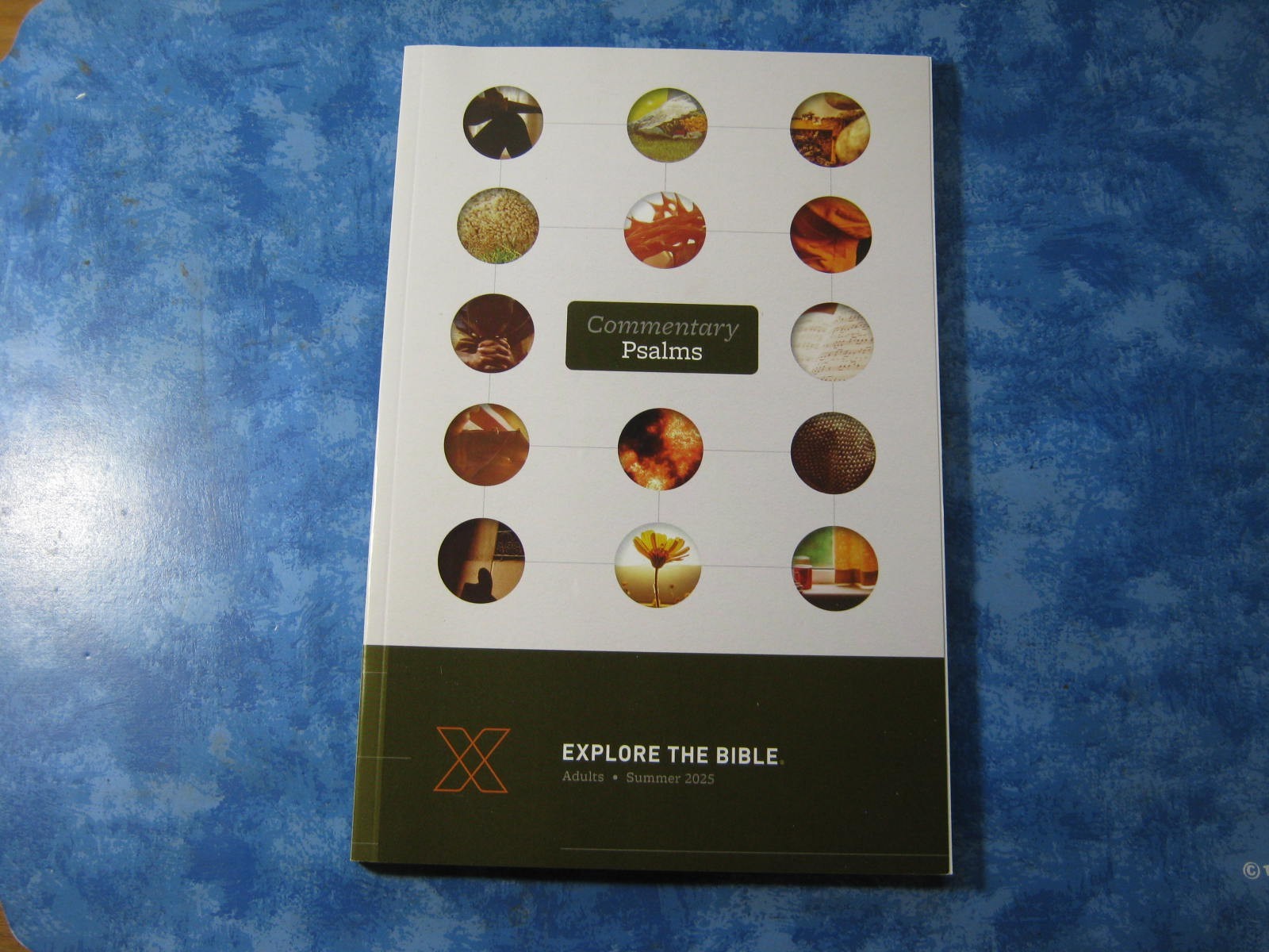 LOT OF 3 PSALMS Leader Guide + QuickSource EXPLORE THE BIBLE SC Summer 2025 XLNT
