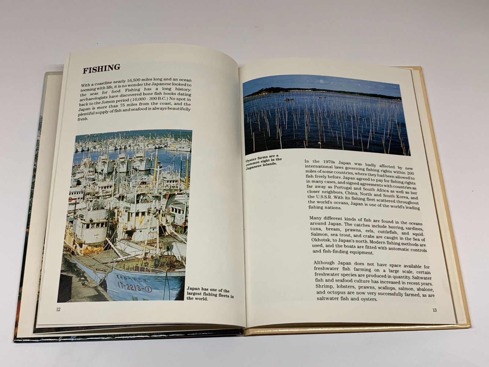 Food in Japan by Jiro Takeshita 1989 Hardcover