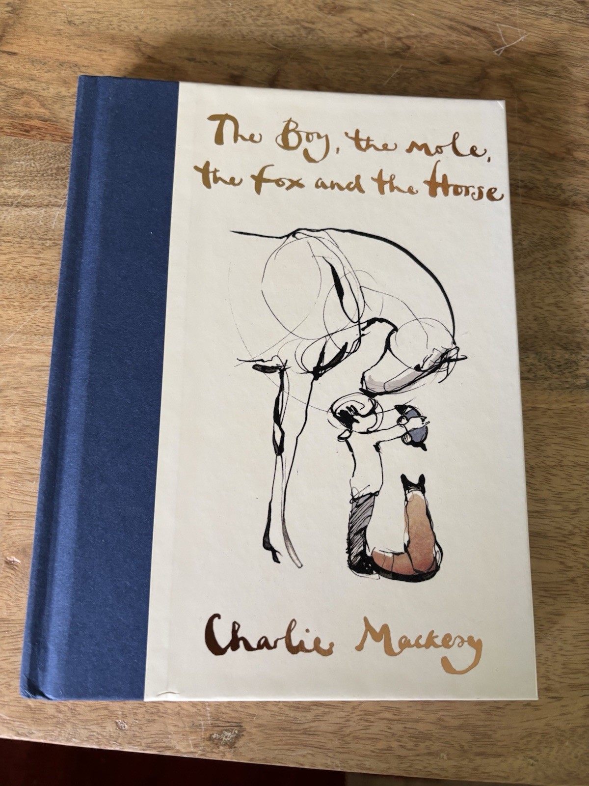HarperOne The Boy, the Mole, the Fox and the Horse by Charlie Mackesy (Hardcove…