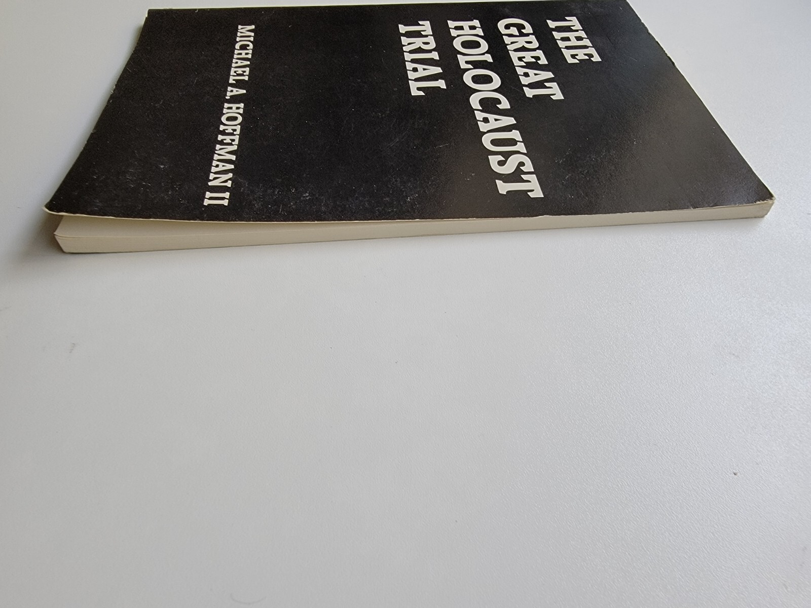 The Great Holocaust Trial (Hoffman)