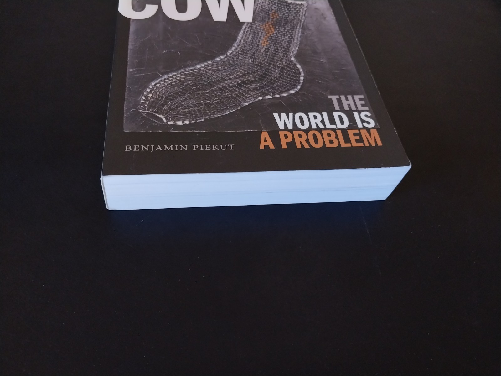 Henry Cow – The World Is a Problem – Duke University Press 2009