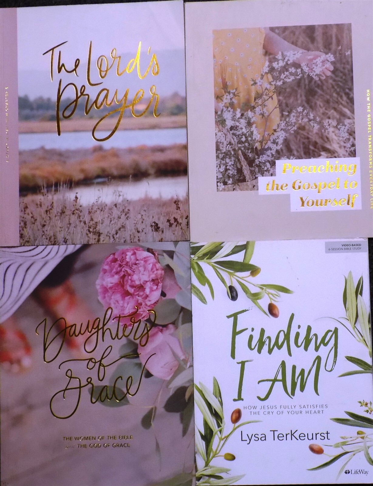 Lot of 4: The Daily Grace Co FINDING I AM,THE LORD’S PRAYER,DAUGHTERS OF GRACE++