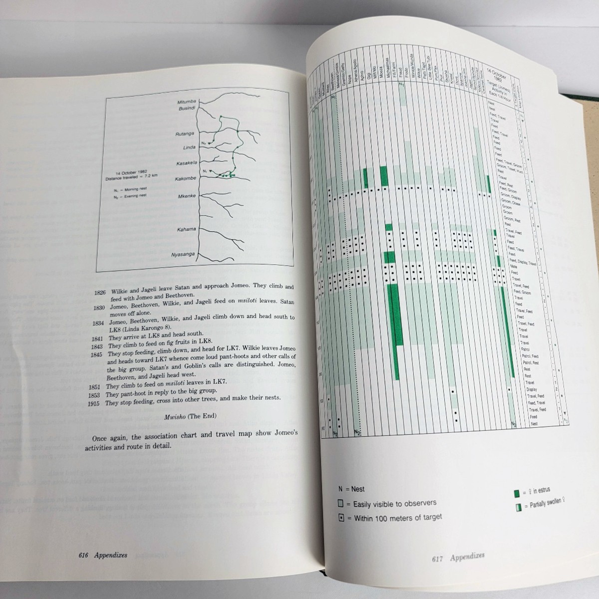Identification of Pathological Conditions in Human Skeletal Remains