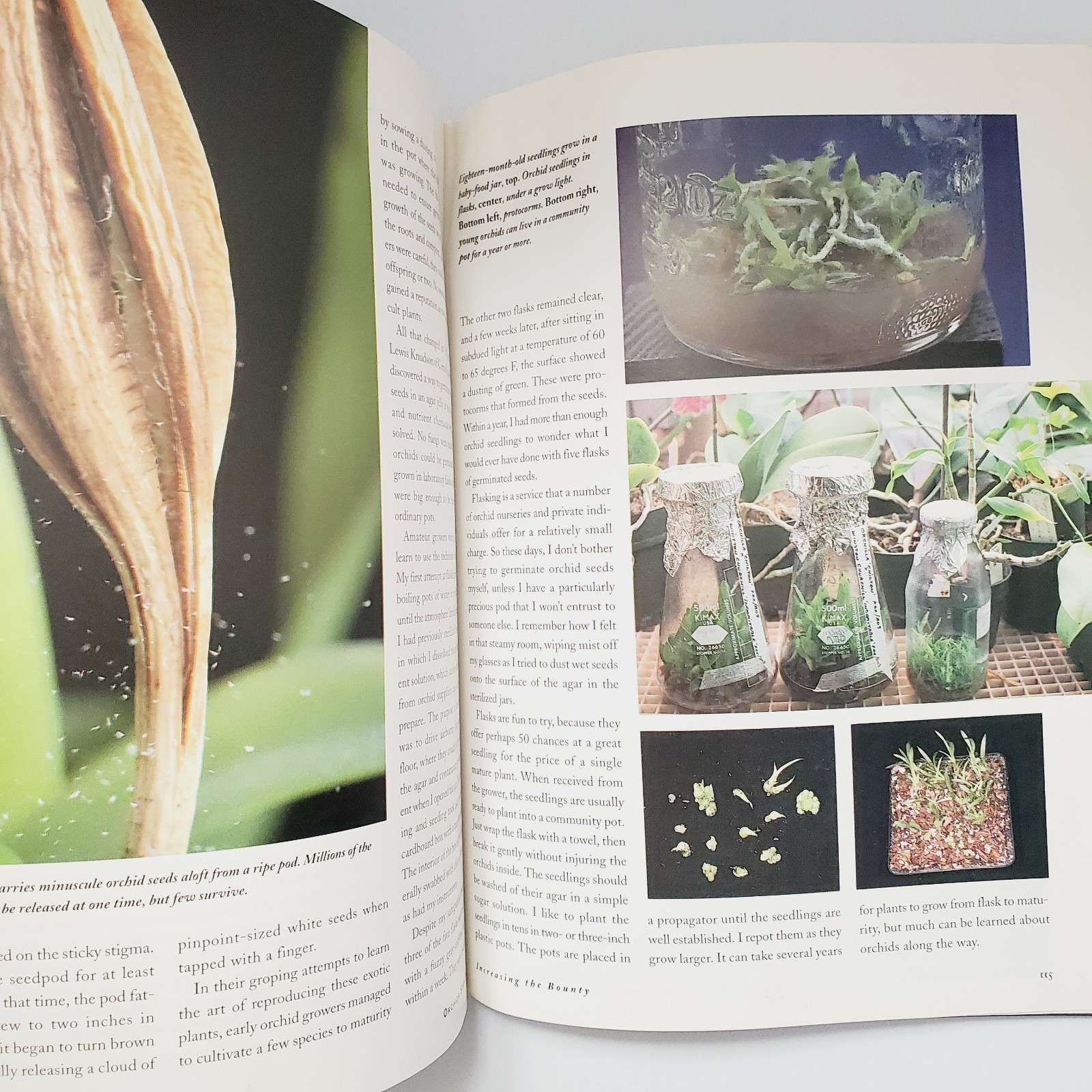 Orchids Simplified: An Indoor Gardening Guide Book Garden Houseplant Flowers