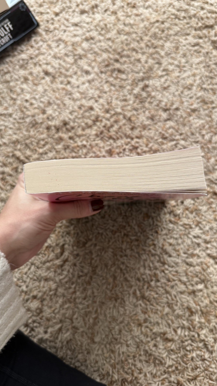 Check & Mate by Ali Hazelwood Advanced Reader’s Copy / ARC