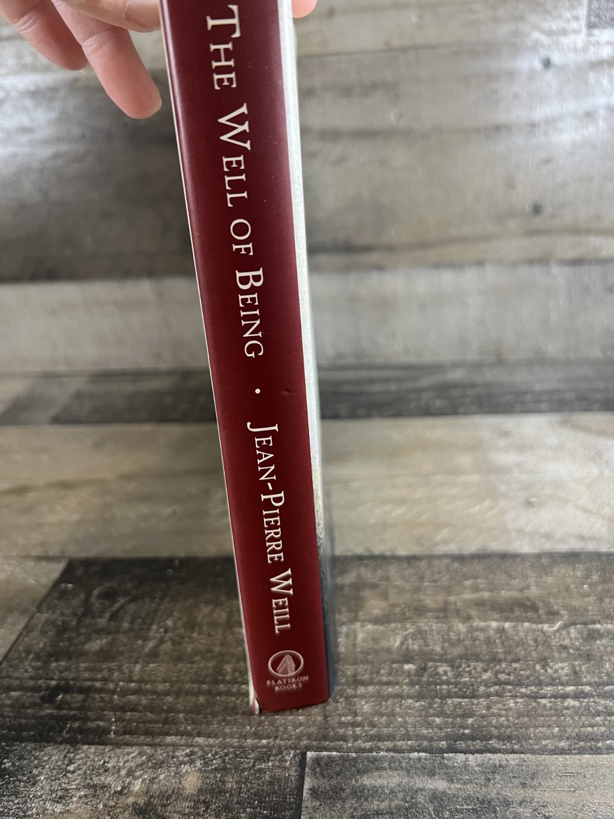 The Well Of Being A Children’s Book for Adults By Jean-Pierre Weill Watercolor