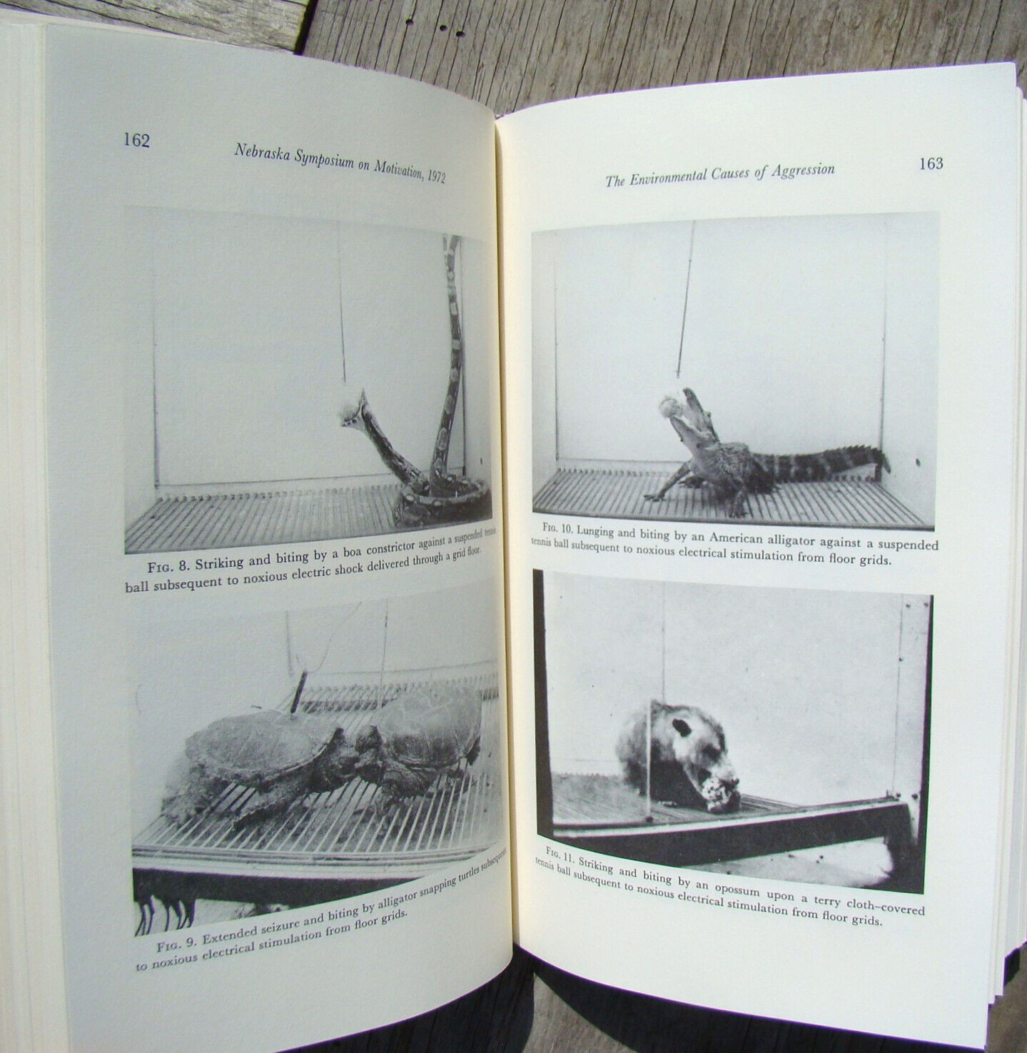 Nebraska Symposium On Motivation ~23 Vols 1953-75~ Animal Experiments Sex Gender