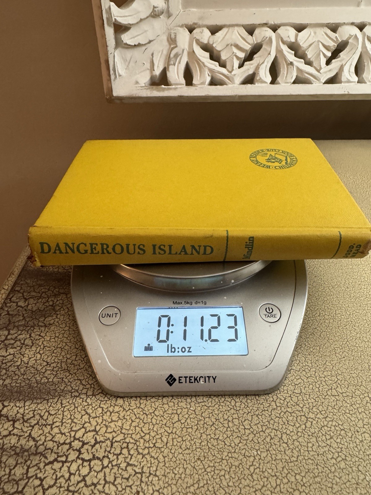 Dangerous Island Helen Mather-Smith Mindlin 1956 Weekly Reader HC