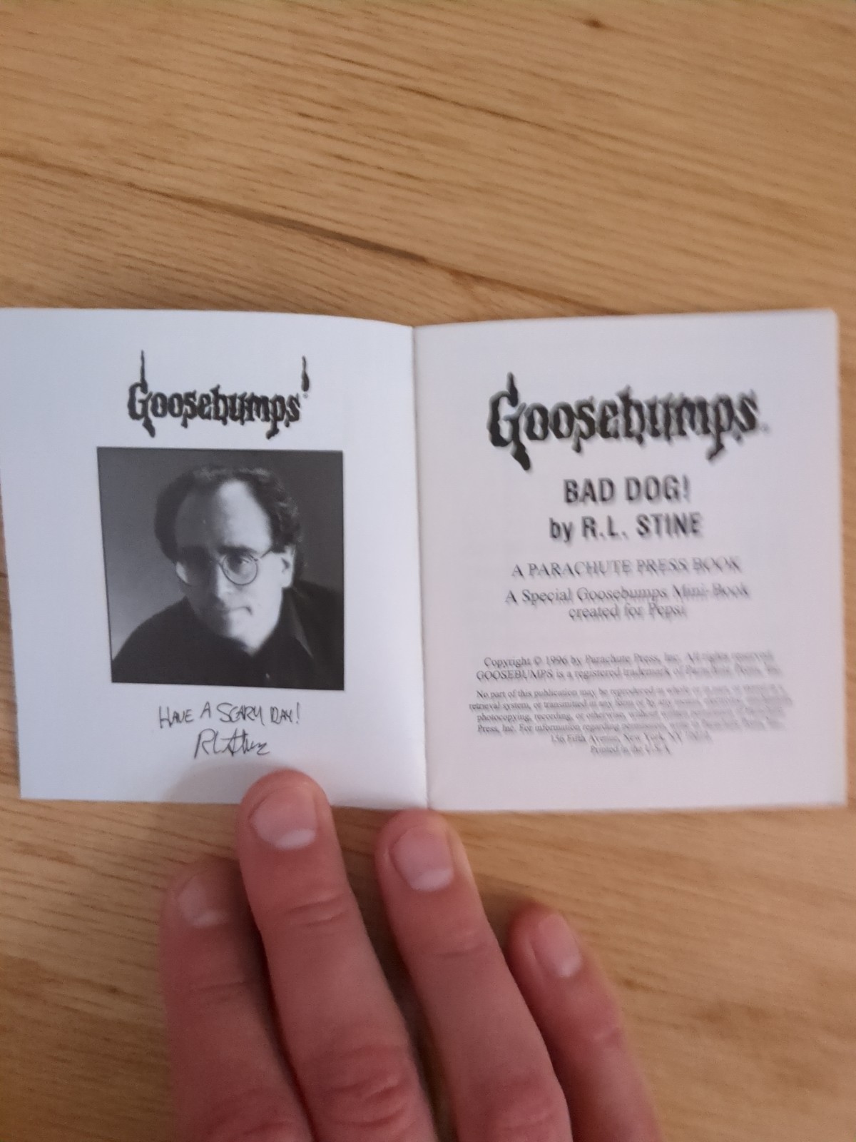 VTG 1996 R. L. Stine Mini Goosebumps Book Bad Dog Pepsi Promo RARE!!
