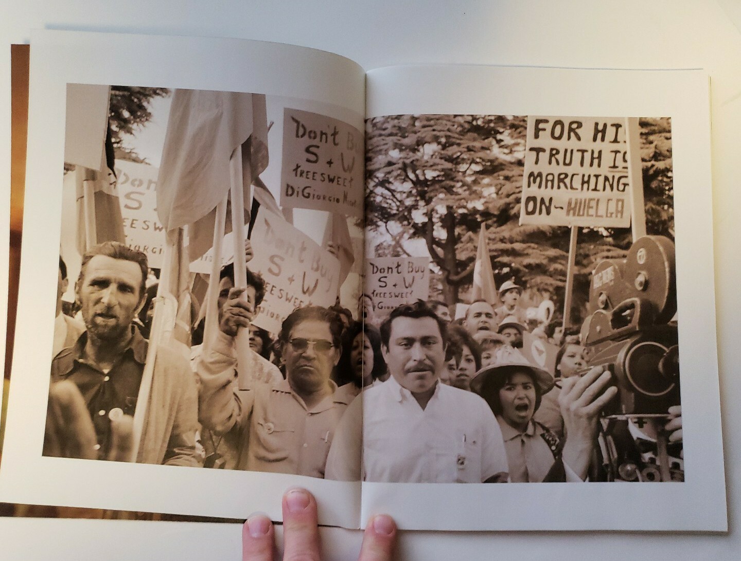 Viva La Causa The Story of Cesar Chavez TEACHER’S GUIDE Teaching Tolerance SO5