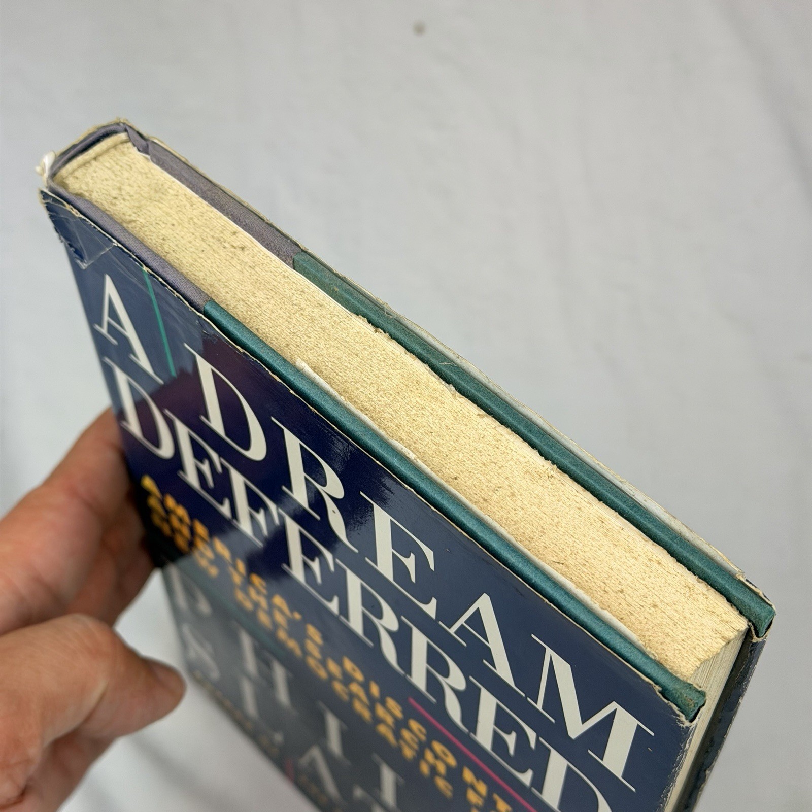 A Dream Deferred Philip Slater 1991 Hardcover DJ Beacon Press Democracy