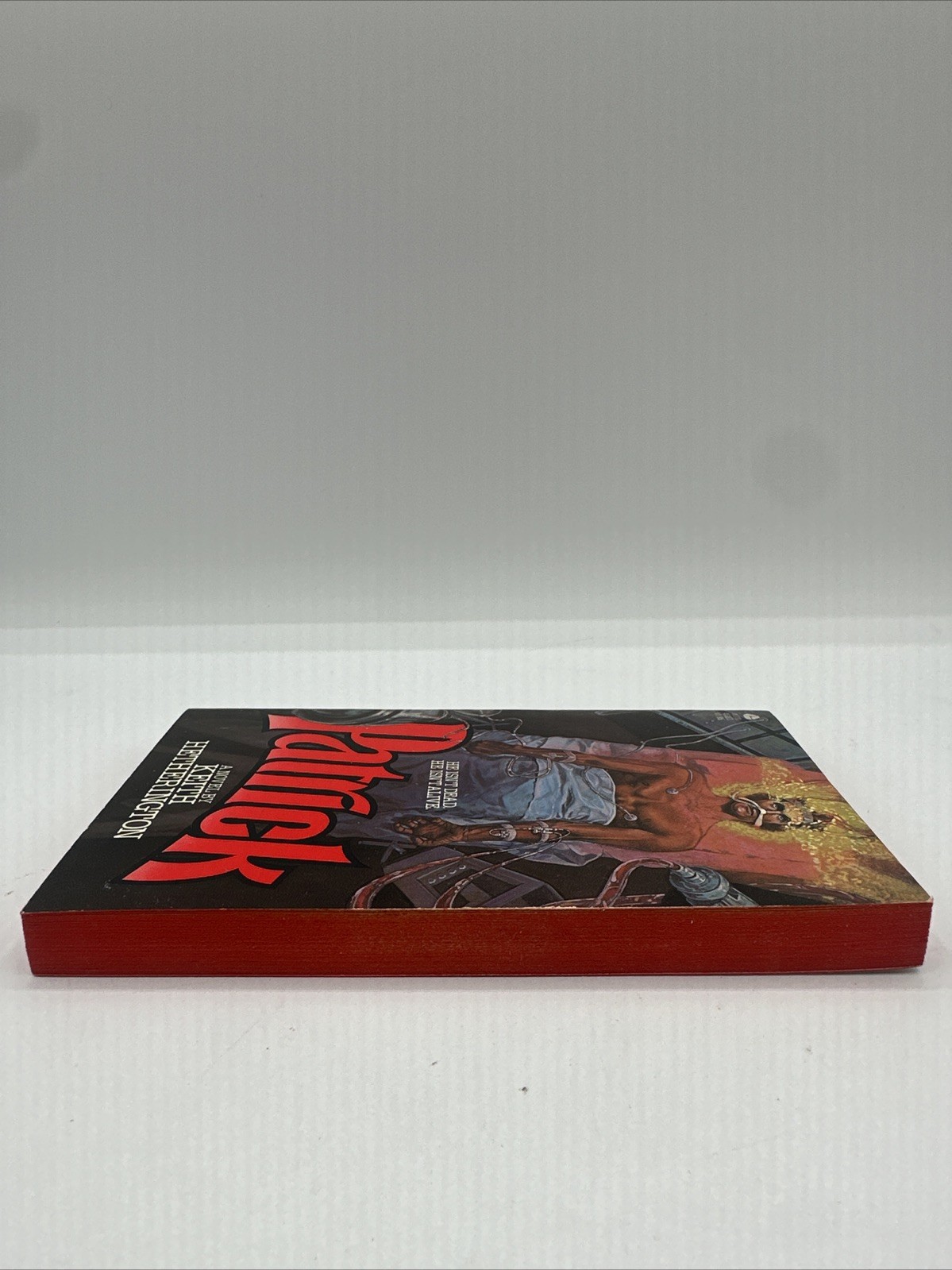 Patrick Keith Hetherington Paperback 1980 He Isn’t Dead He Isn’t Alive 176 Pages