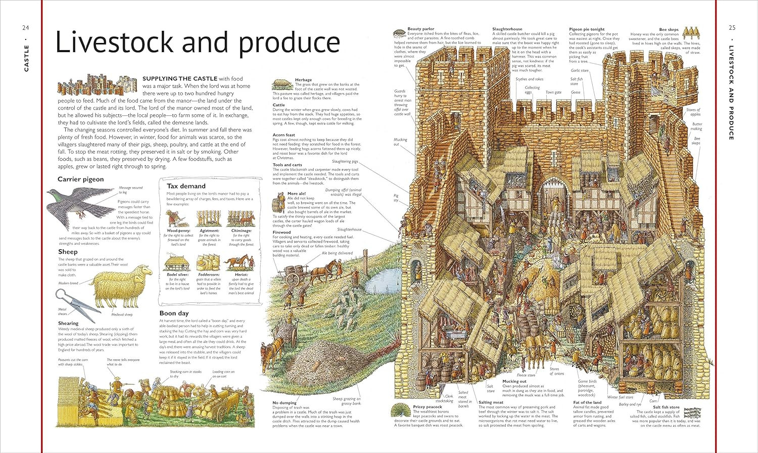 Stephen Biesty’S Cross-Sections Castle