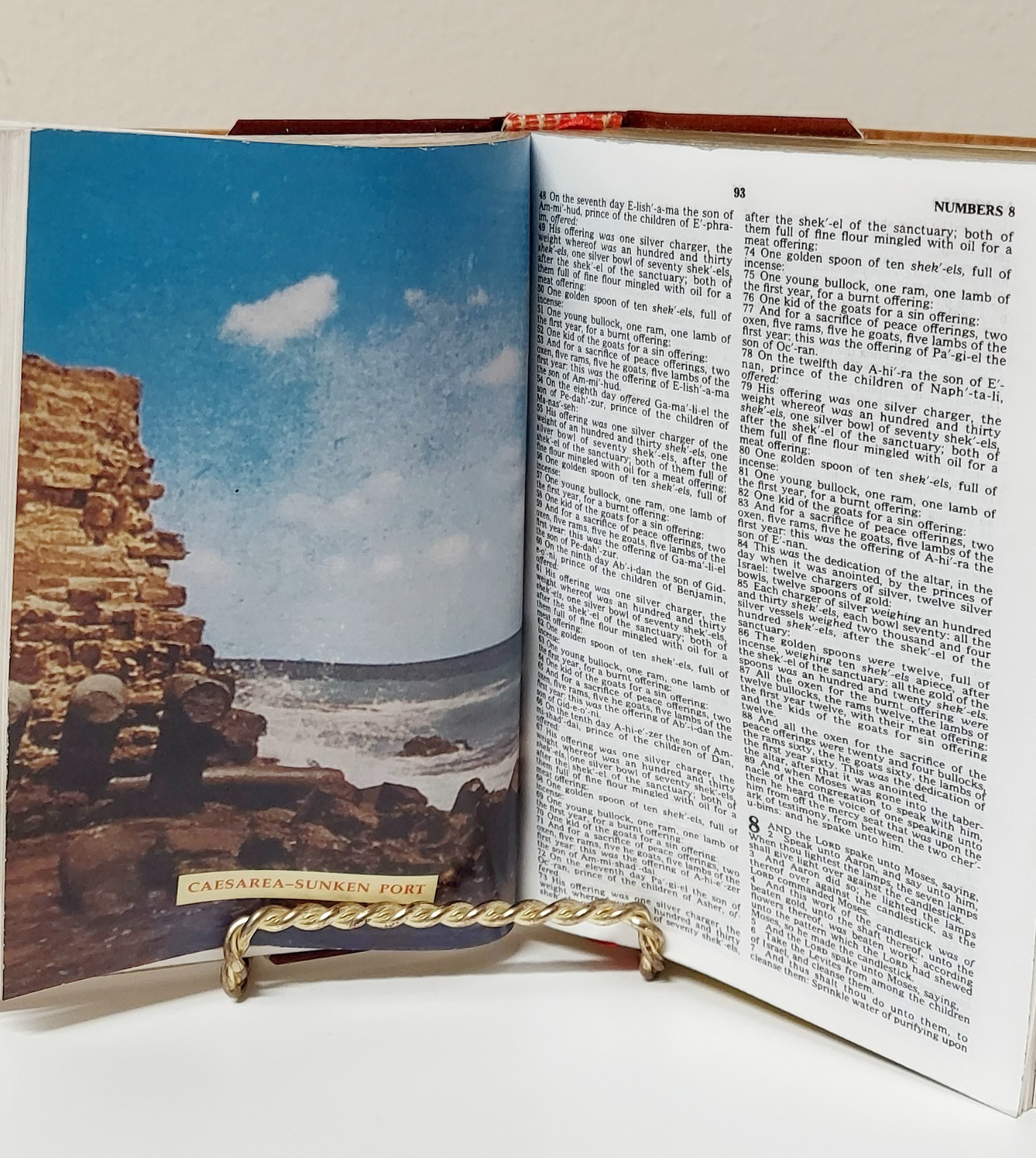 NEW! Vintage Leather Trinity Broadcasting Network TBN Mrinita Bethlehem Bible