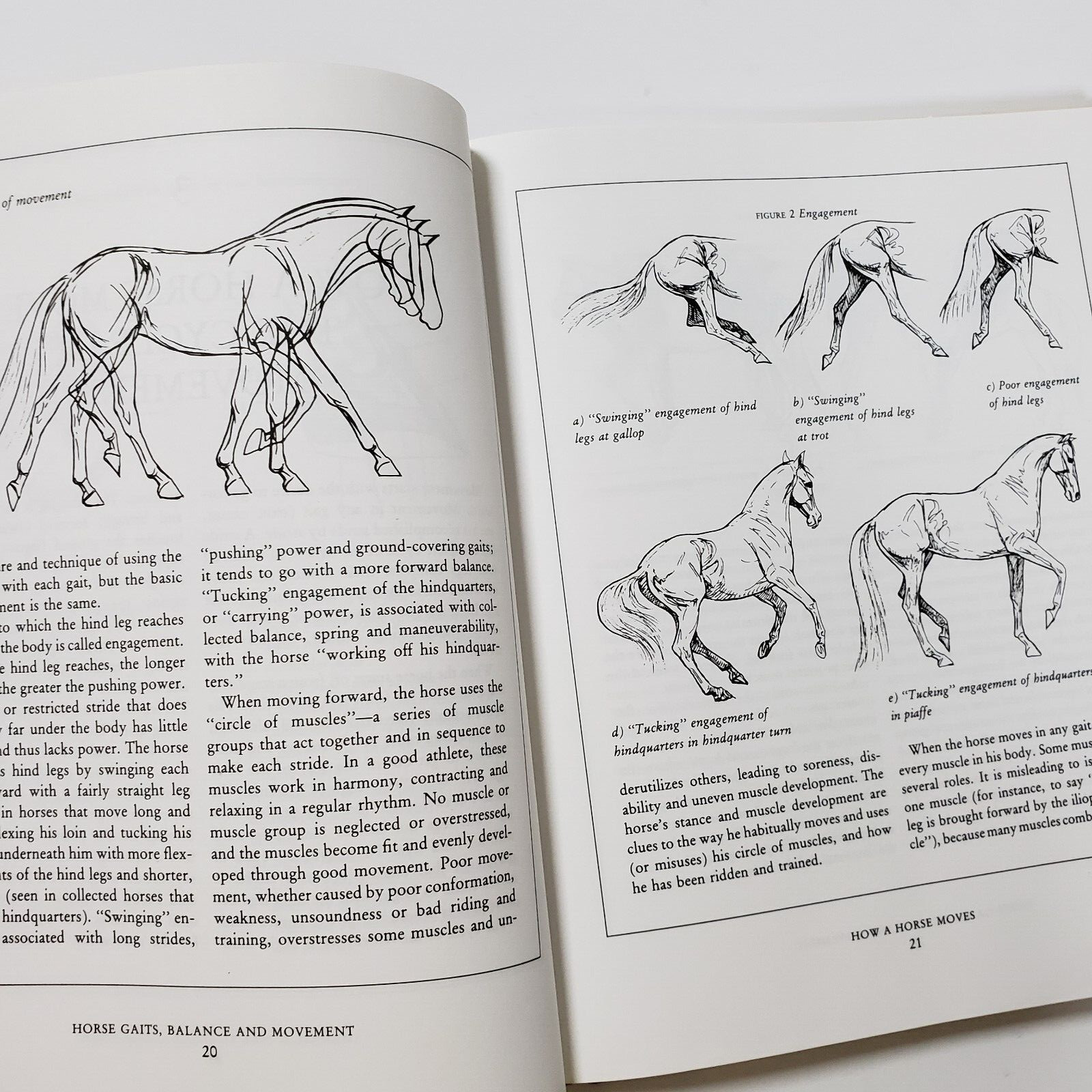 Horse Gaits, Balance and Movement by Susan E. Harris 1993 HC DJ