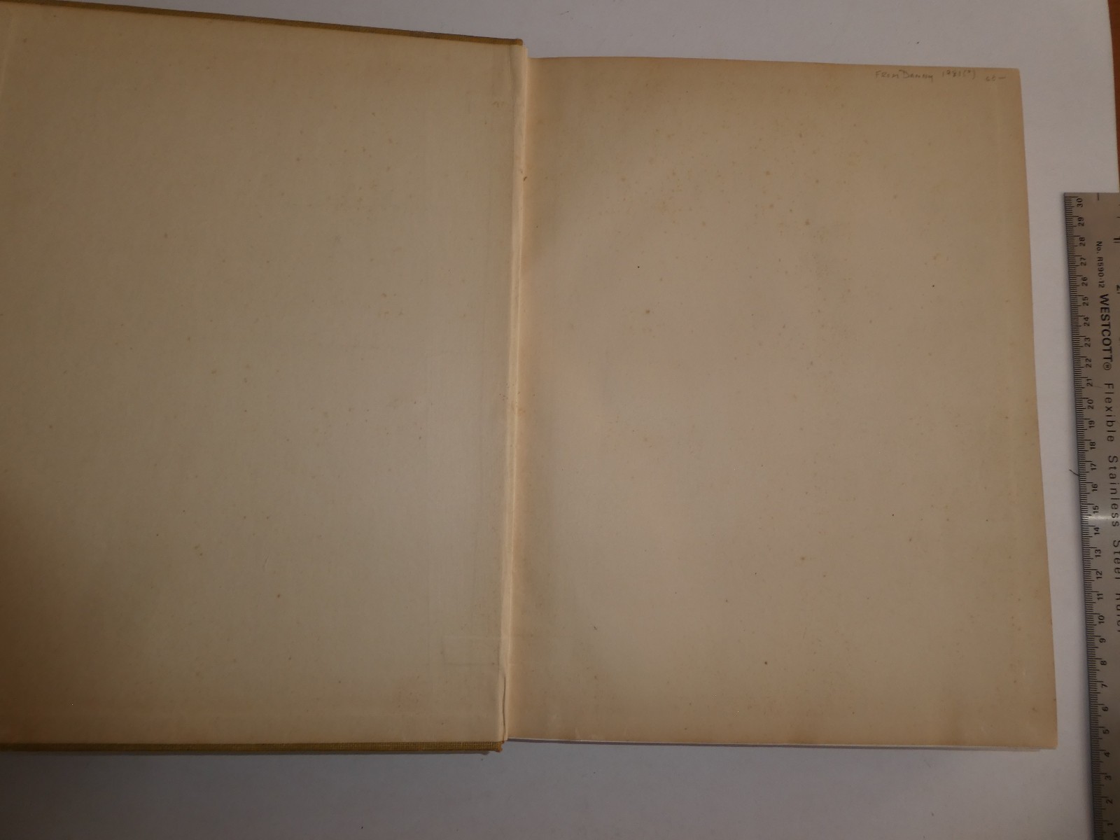 Wild Flowers by Homer D. House 1935 Macmillan Company Elzie S. Wechsler Columbia