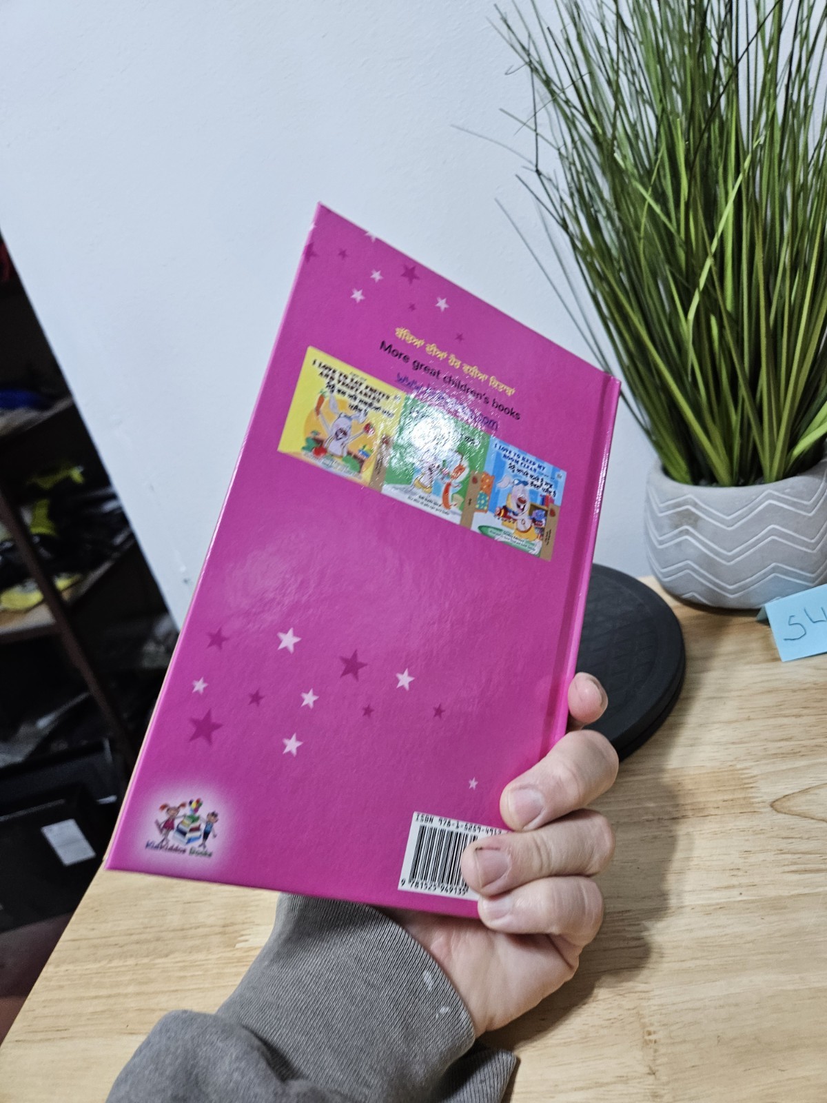 Amanda’s Dream (Punjabi English Bilingual Kids‘ Book – Gurmukhi) Hardcover