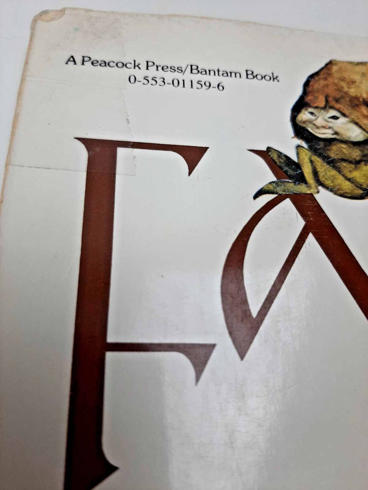 Vintage Faeries Book 1978 First Edition Printing Brian Froud Mythical Fairy Art