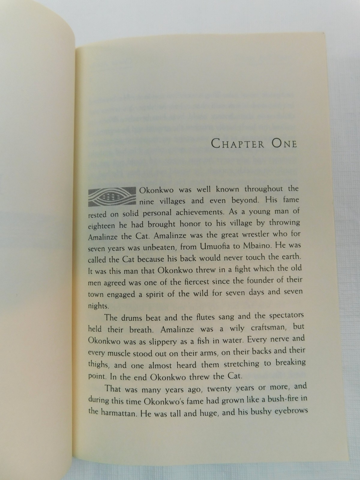 Things Fall Apart by Chinua Achebe, 1994 Paperback