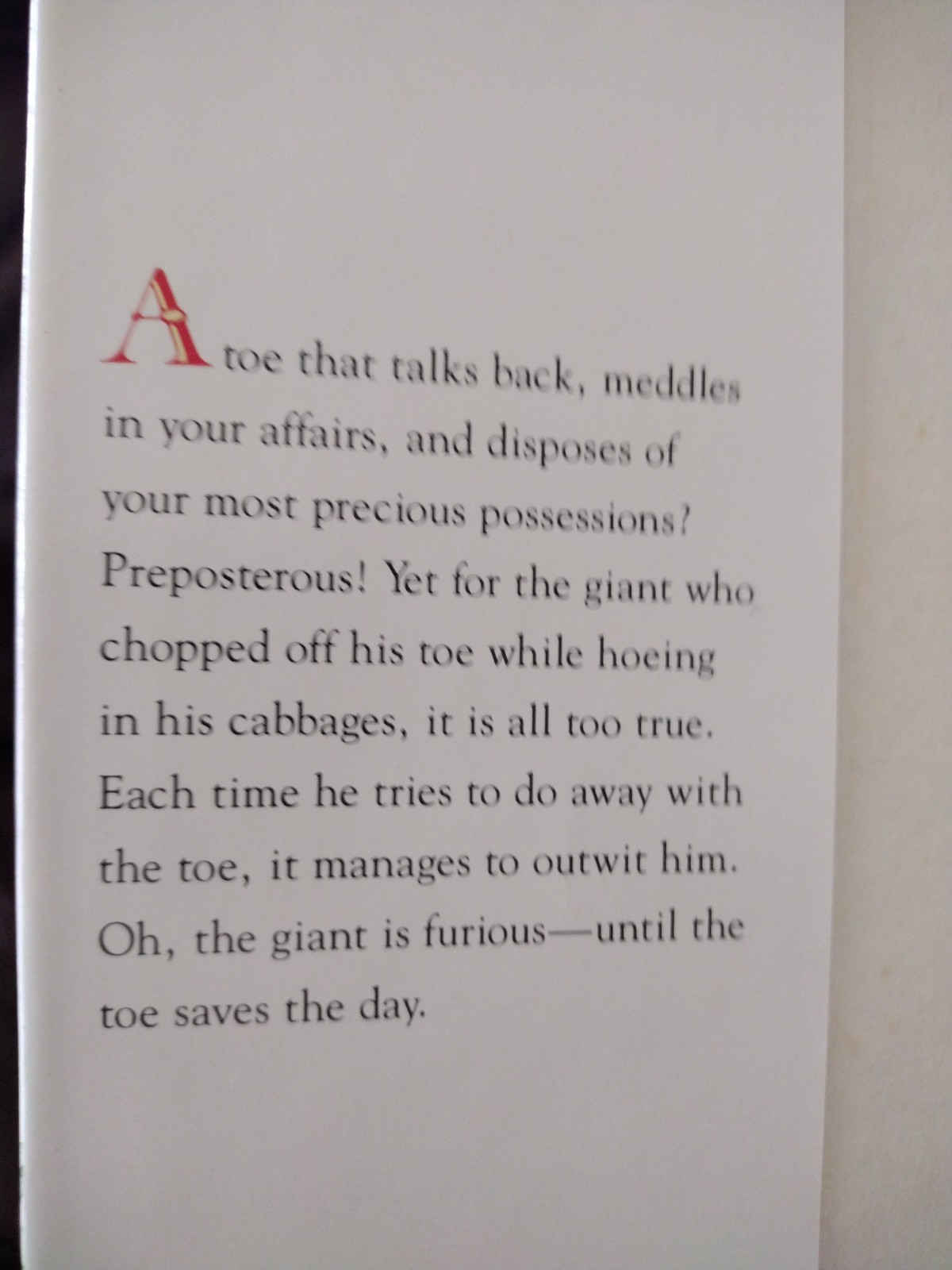 The Giant’s Toe by Brock Cole 1986 First Edition Farrar, Straus & Giroux w/DJ
