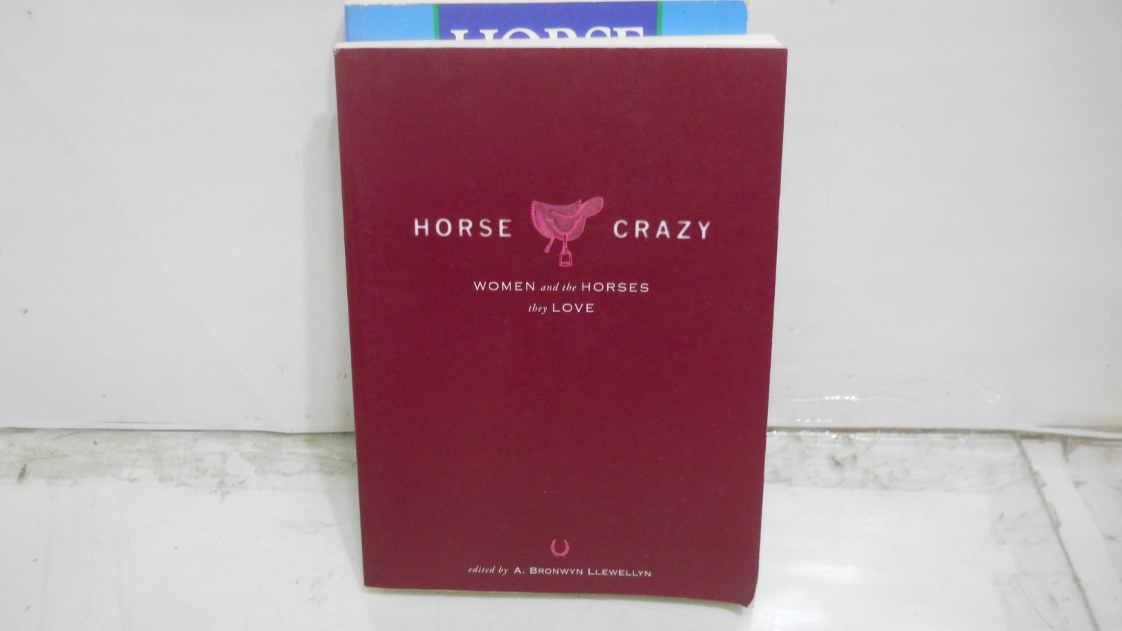 Lot of Horse/Equestrian Books VG TPBs no issues~ Ships boxed