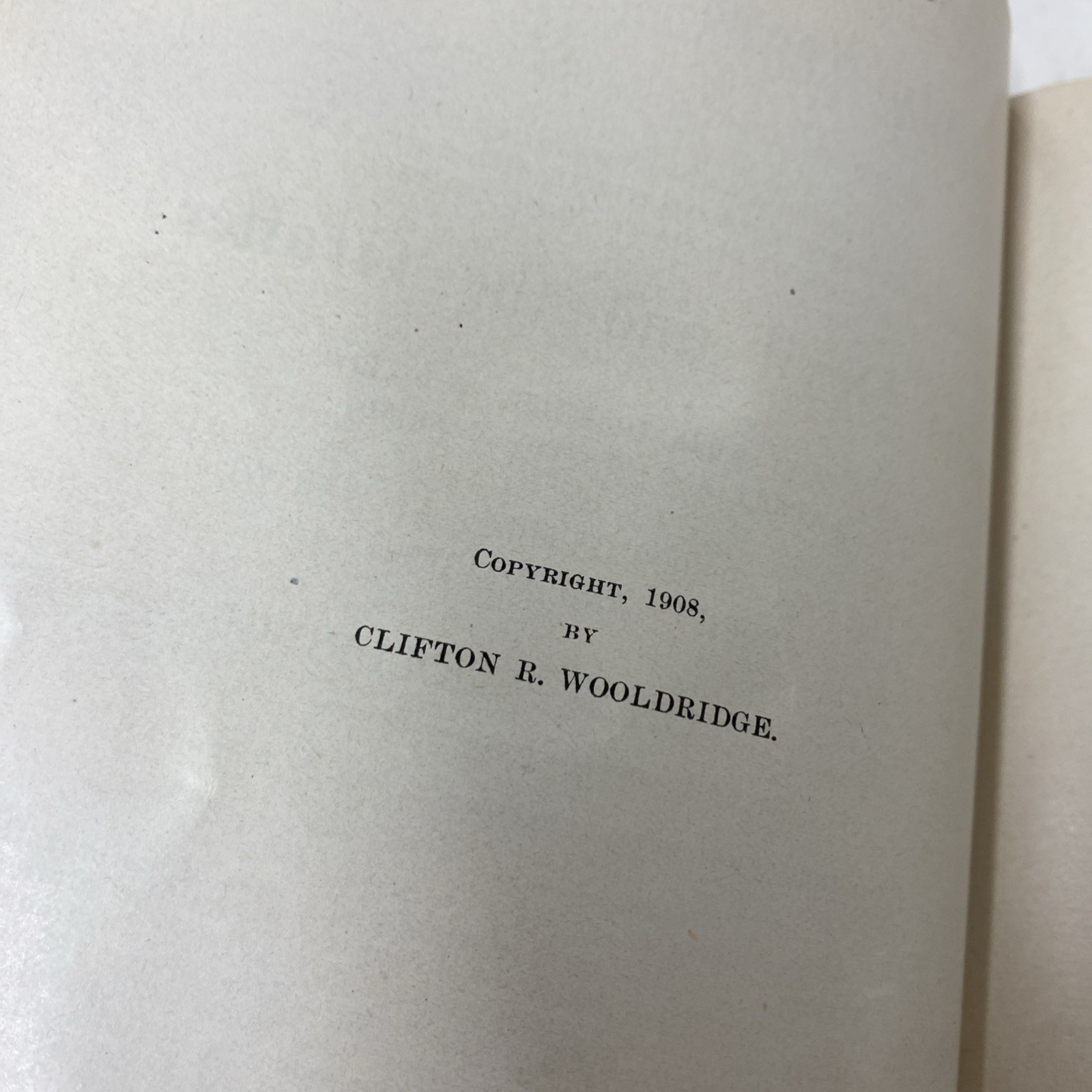 20 Years A Detective in The Wickedest City In The World Wooldridge 1908 First Ed