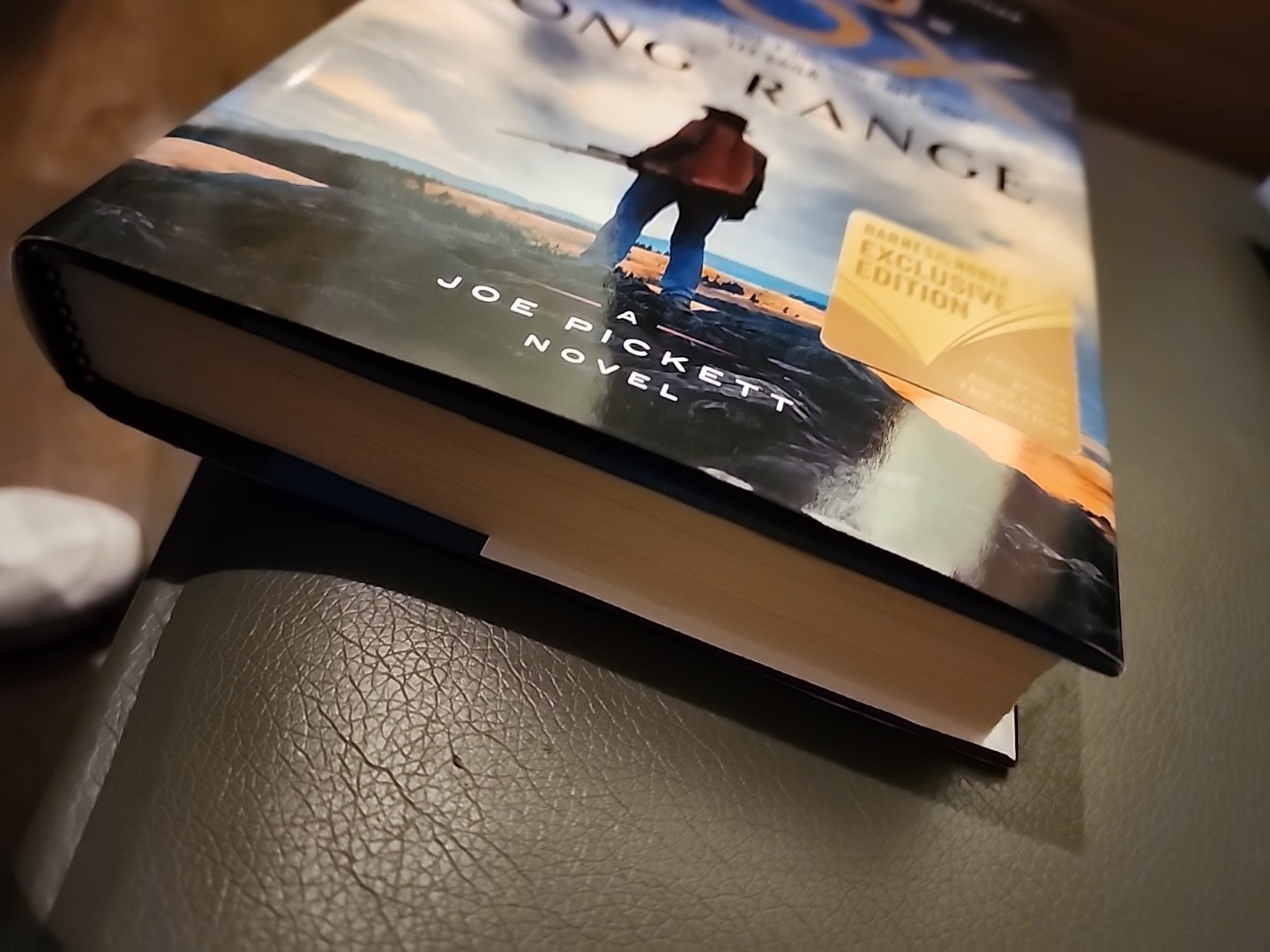 C.J. Box LONG RANGE-A Joe Pickett Novel Crime Nature Fiction 2020 -368 Pages