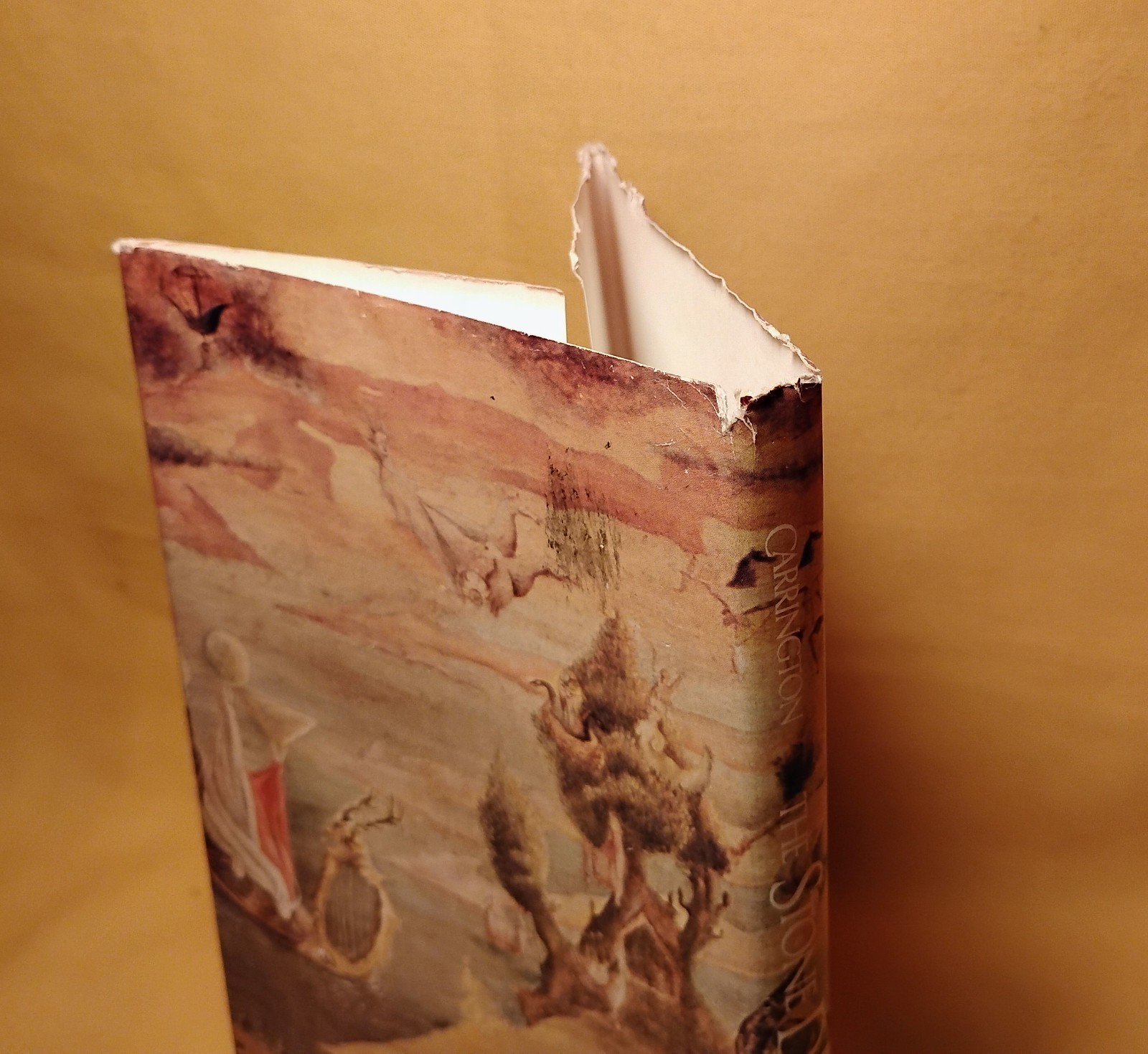 the Stone Door Leonora Carrington St. Martin’s Press 1977 HCDJ 1st U.S. edition