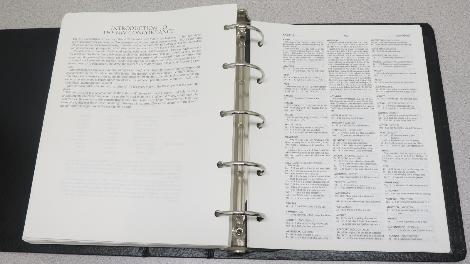 Holy Bible Wide Margin Looseleaf Reference Edition NIV 3-Ring Binder Hendrickson